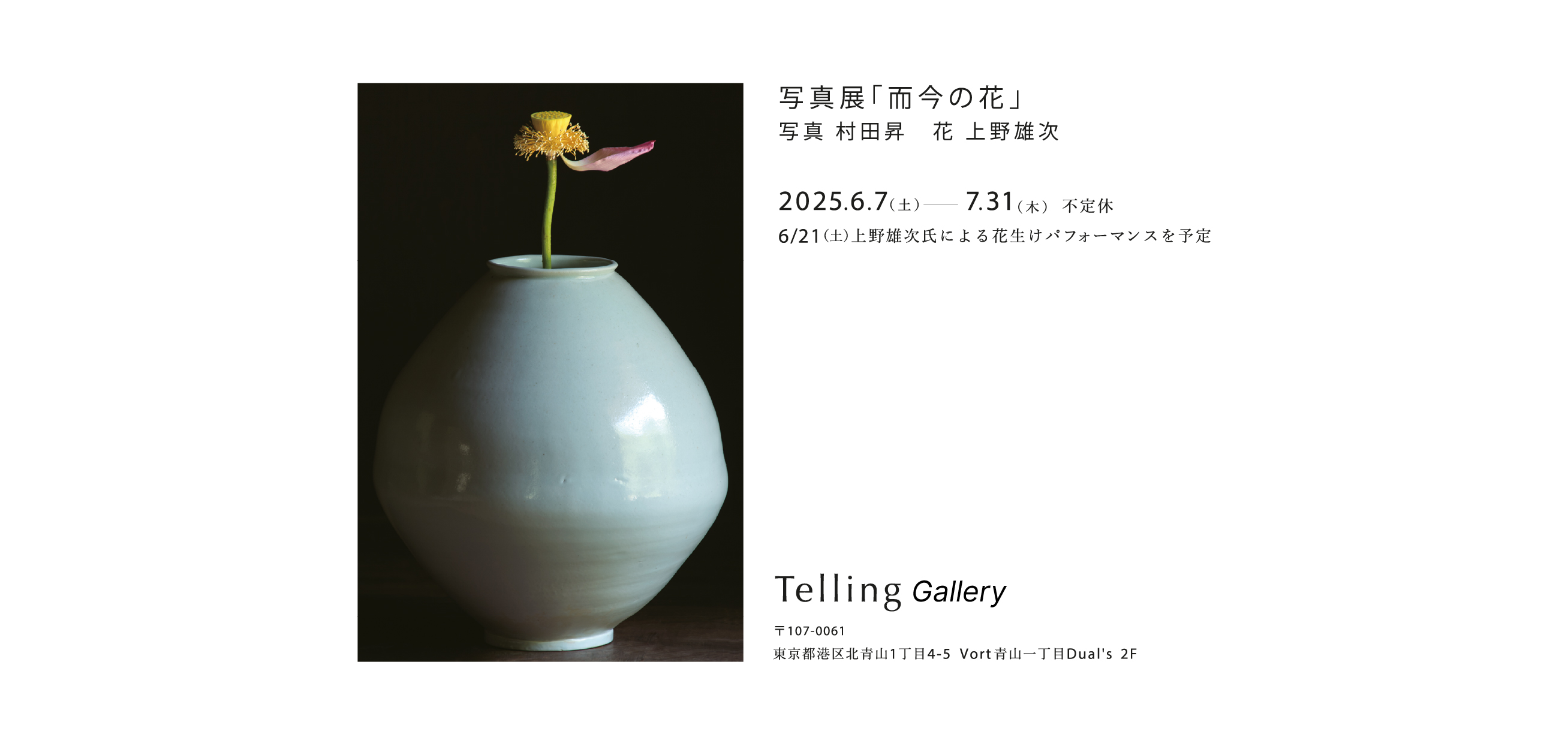 写真展「而今の花」